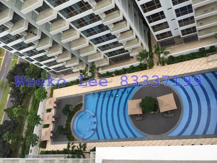 A Treasure Trove thumbnail photo